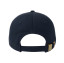 DAD HAT